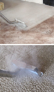 Commercial Carpet Cleaning Derby